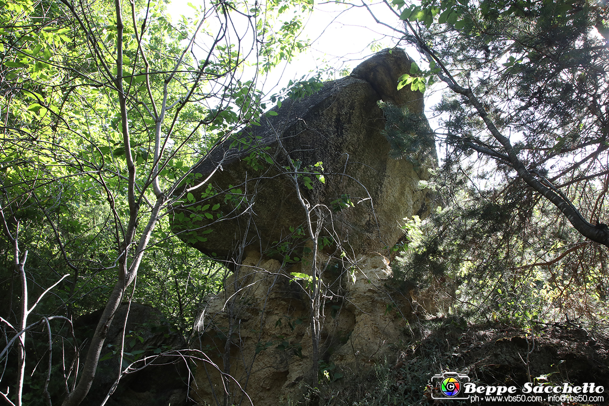 VBS_8966 - I Ciciu del Villar. Villar San Costanzo. Val Maira (Cuneo).jpg